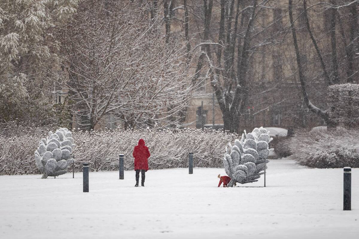 Pasinaudoti paskata liko tik dvi dienos