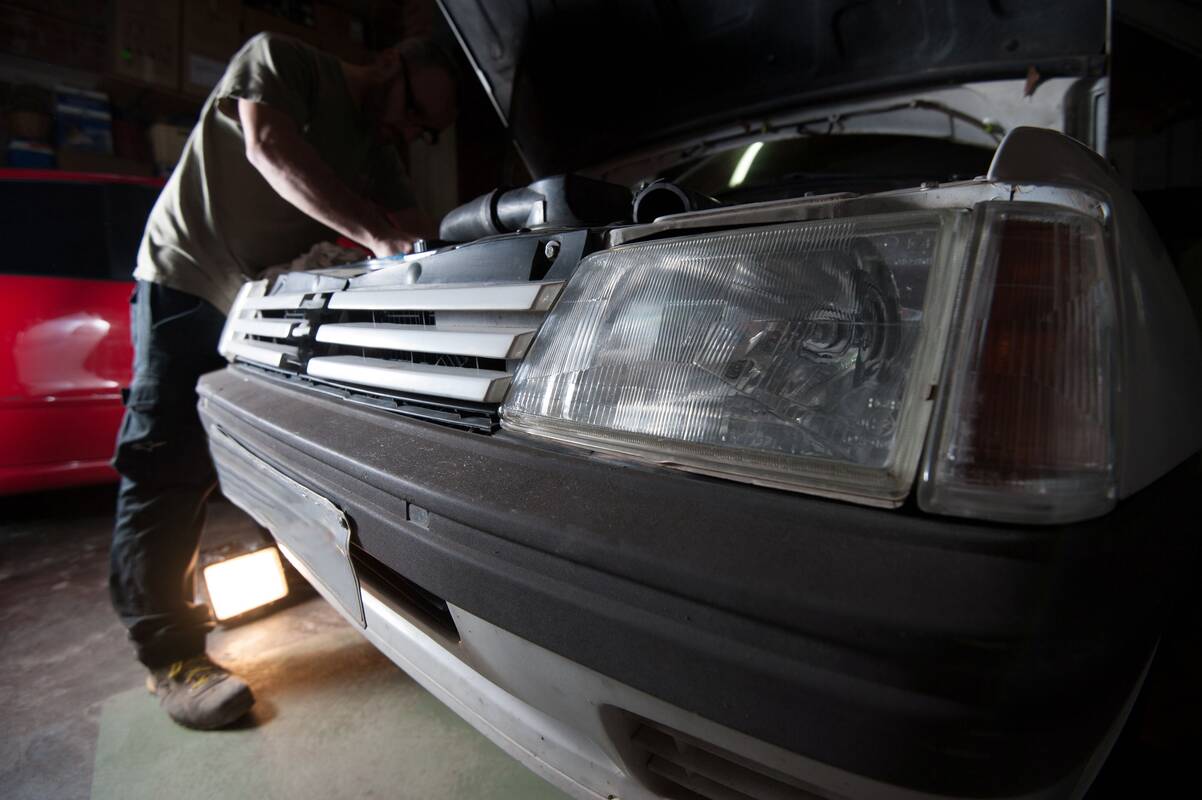 Iš netikėtų „gyventojų“ – kasdieniai nuostoliai: gali sukelti realų pavojų