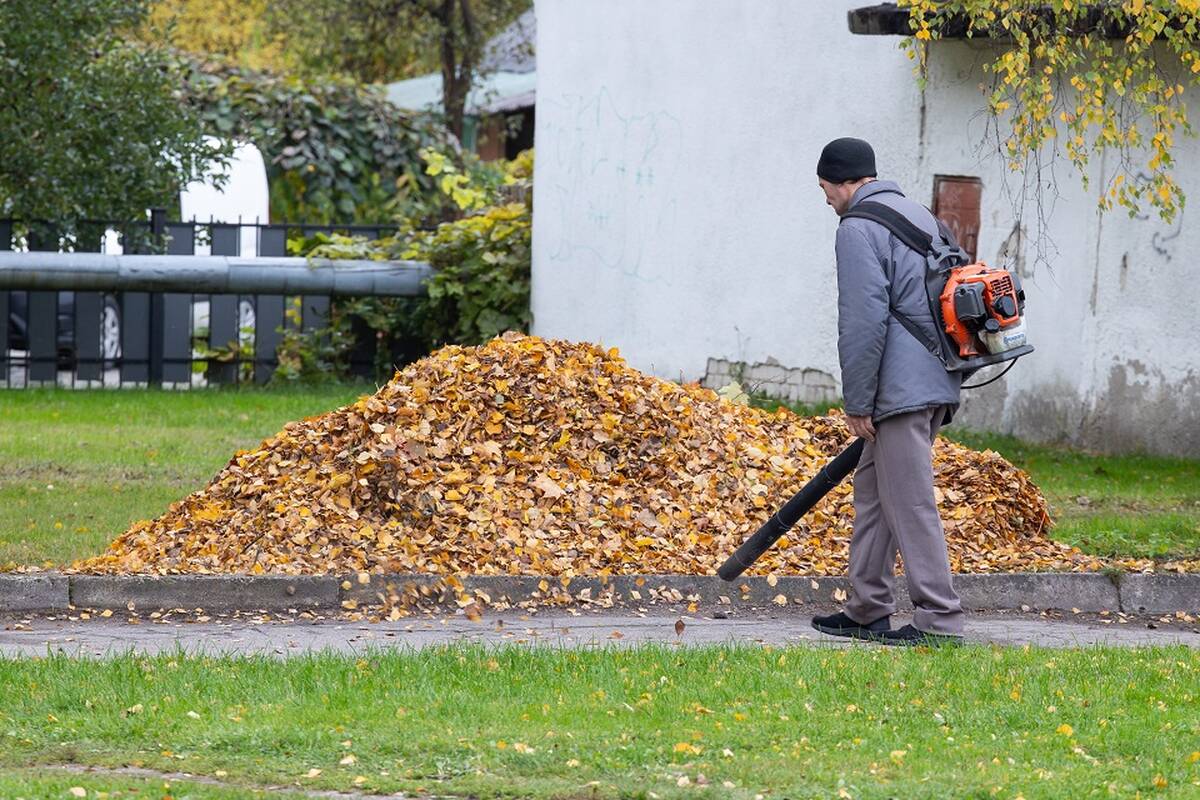 Rekomendacija darbdaviams – įtraukti į darbo rinką kuo daugiau šių asmenų  