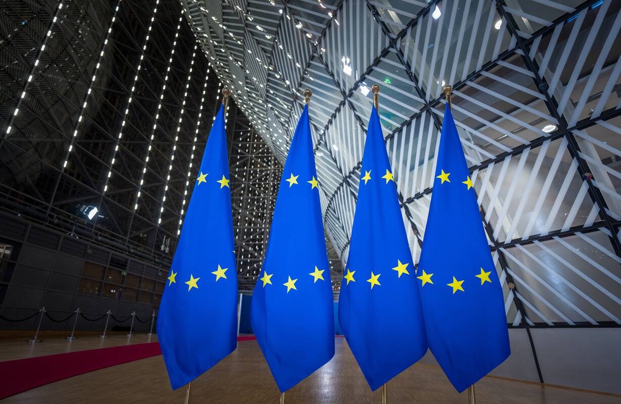 Briuselyje – didelės svarbos viršūnių susitikimas dėl įšaldyto Rusijos turto