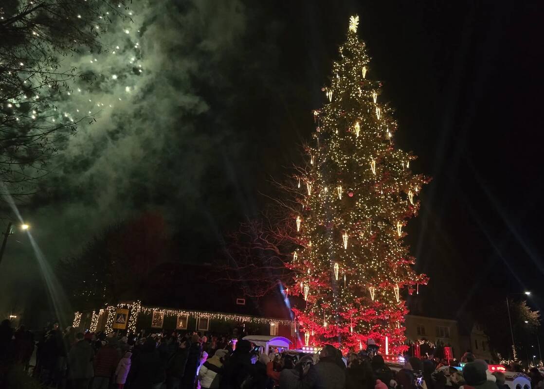 Nušvito aukščiausia Lietuvoje – Priekulės eglė