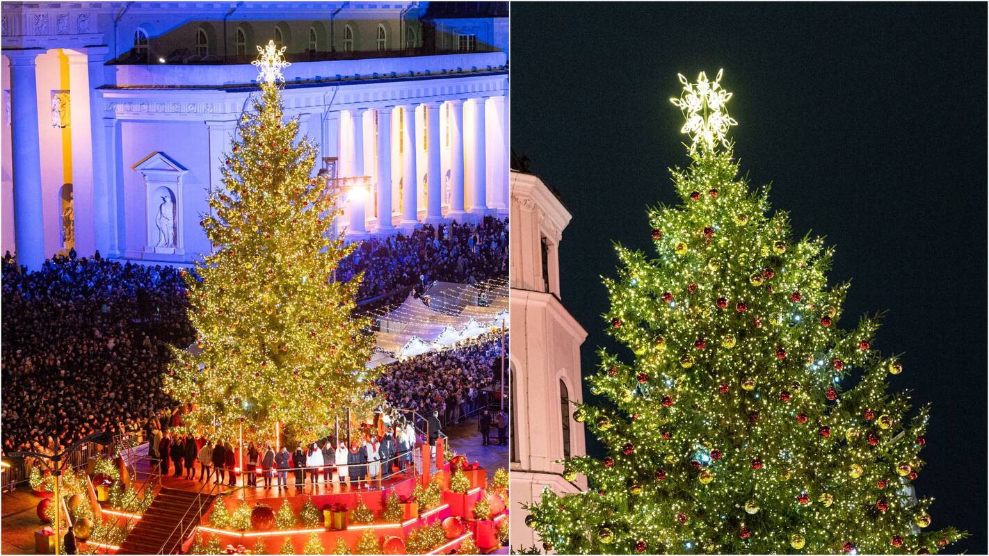Gyventojai įvertino Vilniaus žaliaskarę