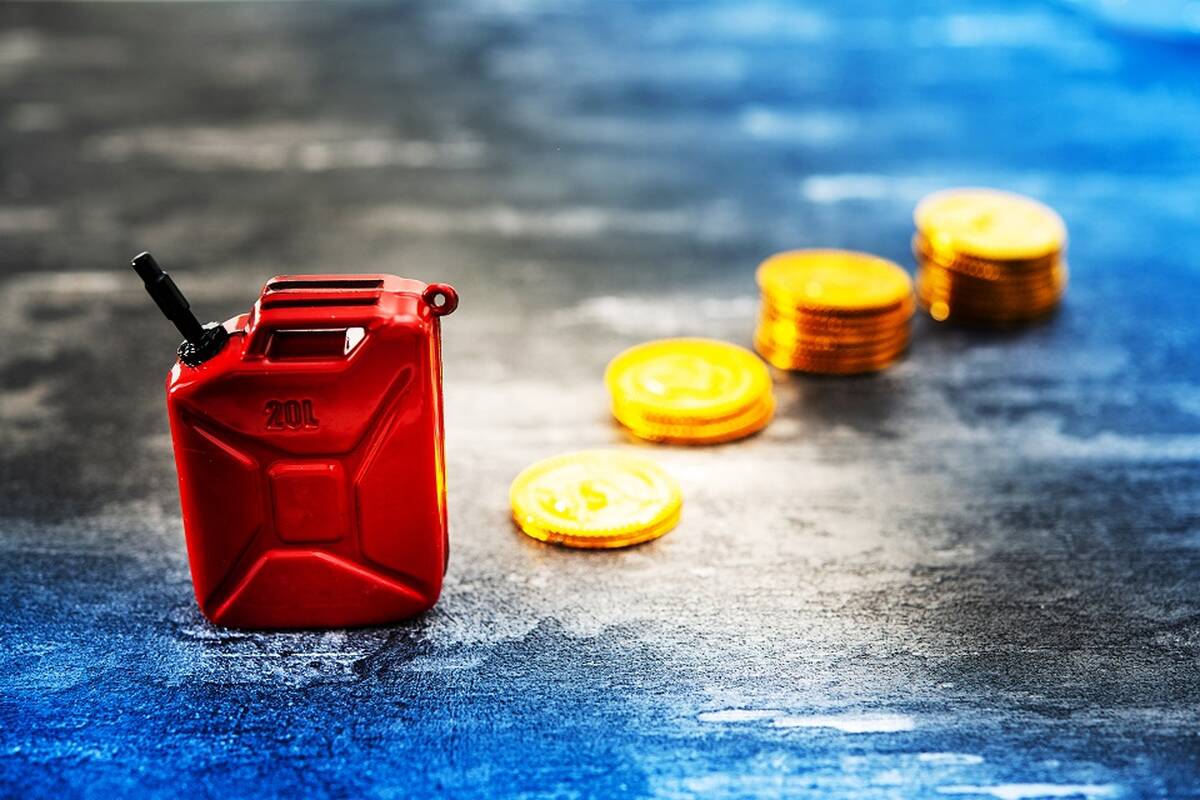 Seimas linkęs nedidinti dyzelino ir dalies kito kuro akcizo CO2 dedamosios