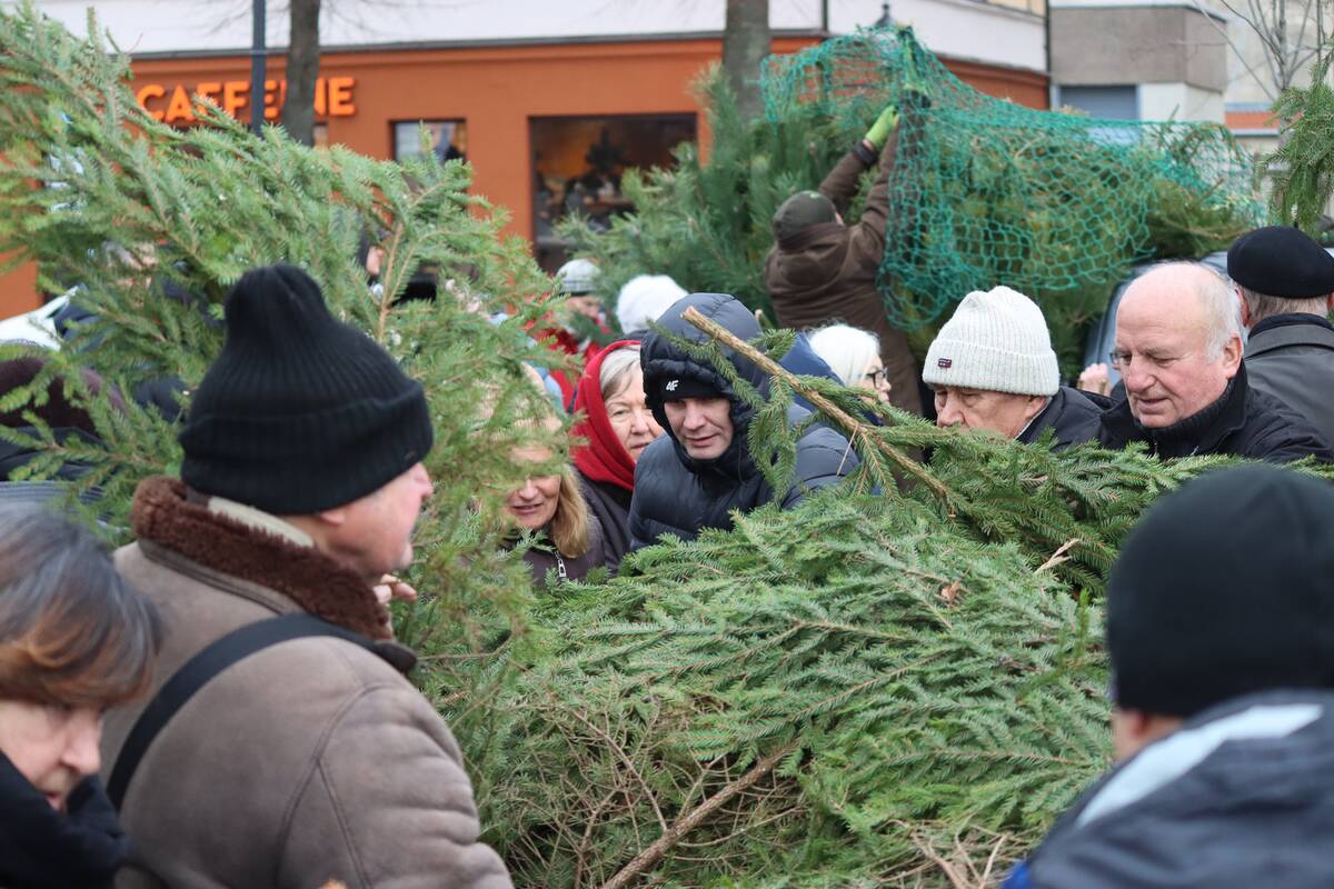 Įvairovė: eglišakių dalijimo akcijos metu būna ir juokingų situacijų, ir konfliktų.