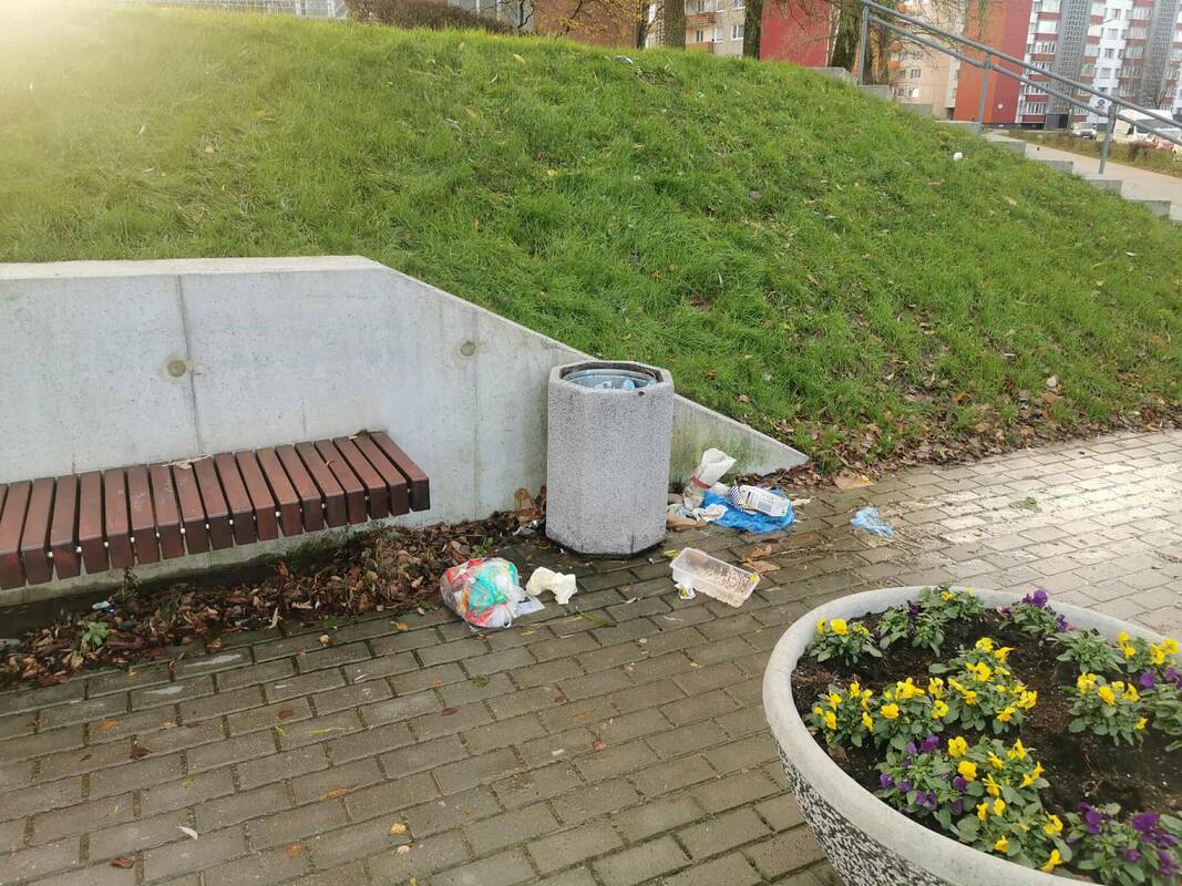 Netvarka: besimėtančios atliekos prie šiukšliadėžių tampa vis dažnesniu vaizdu mieste.