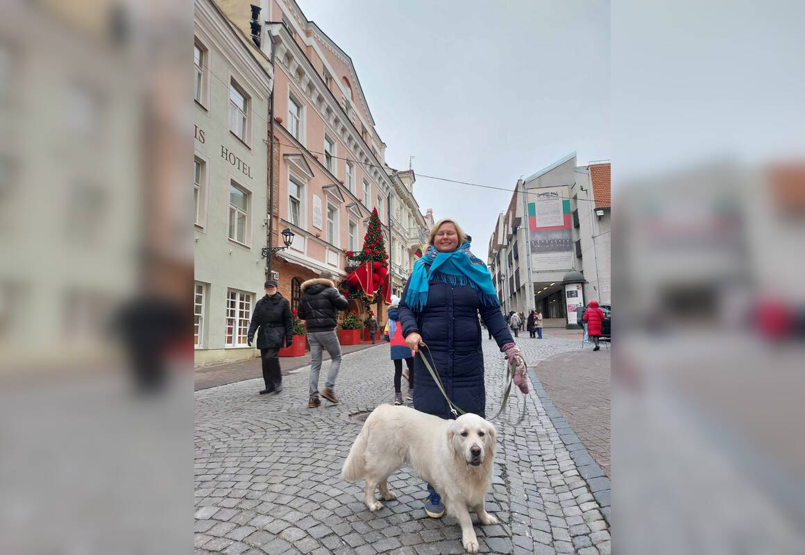 Kūrybinius pasivaikščiojimus V. Venckutonytė veda kartu su auksaspalve retrivere Šiaure.