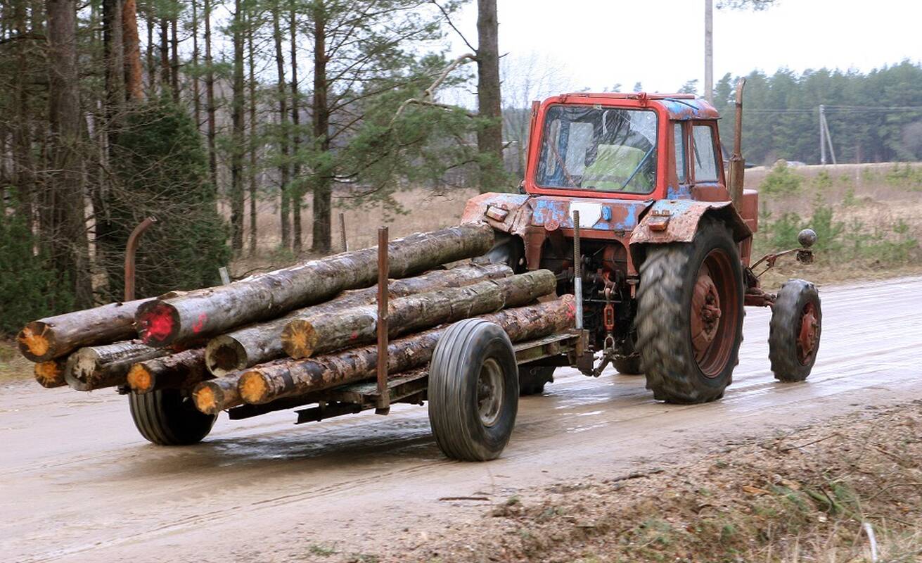 VTEK: dvi miškininkystės asociacijos vykdė neteisėtą lobistinę veiklą