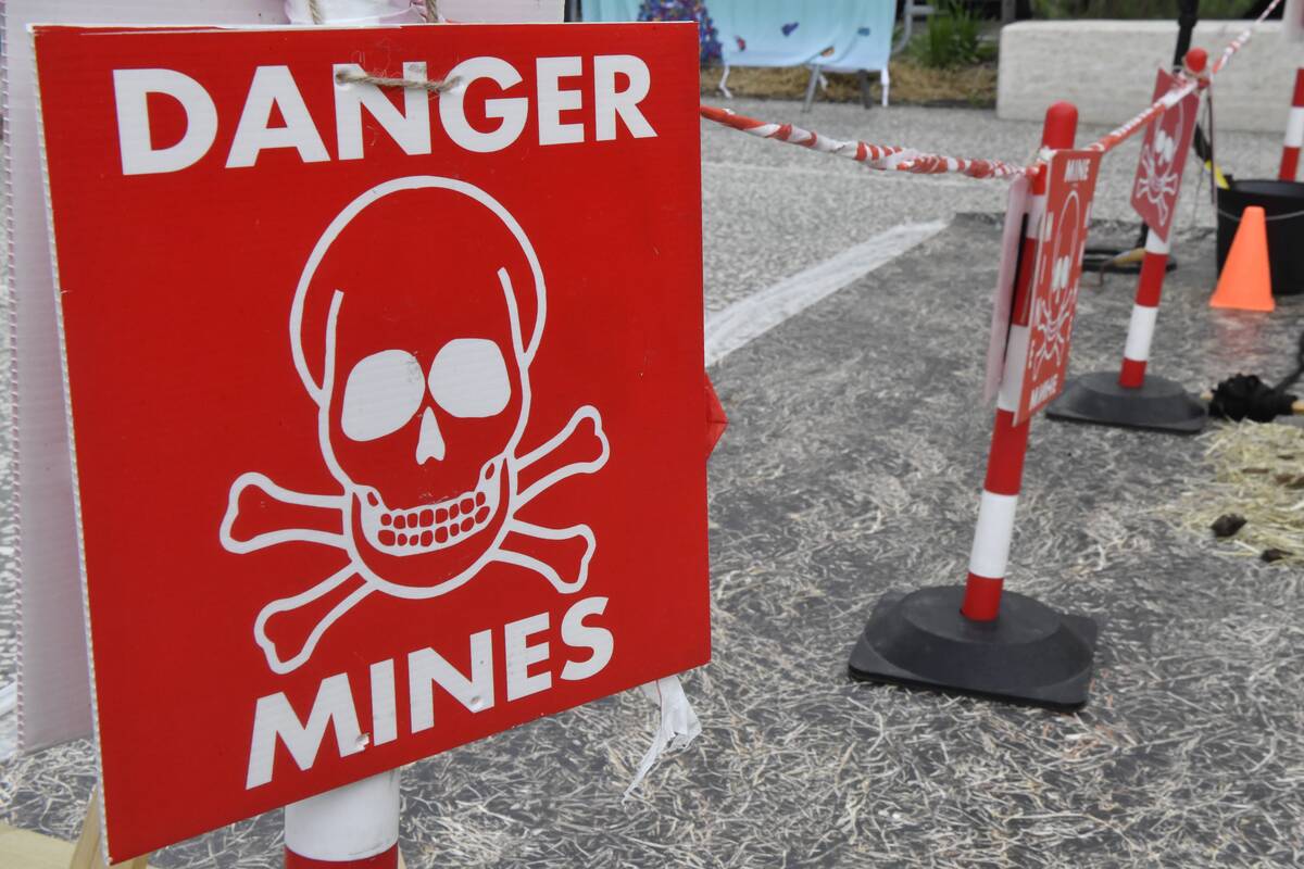 Lenkija pradės gaminti priešpėstines minas