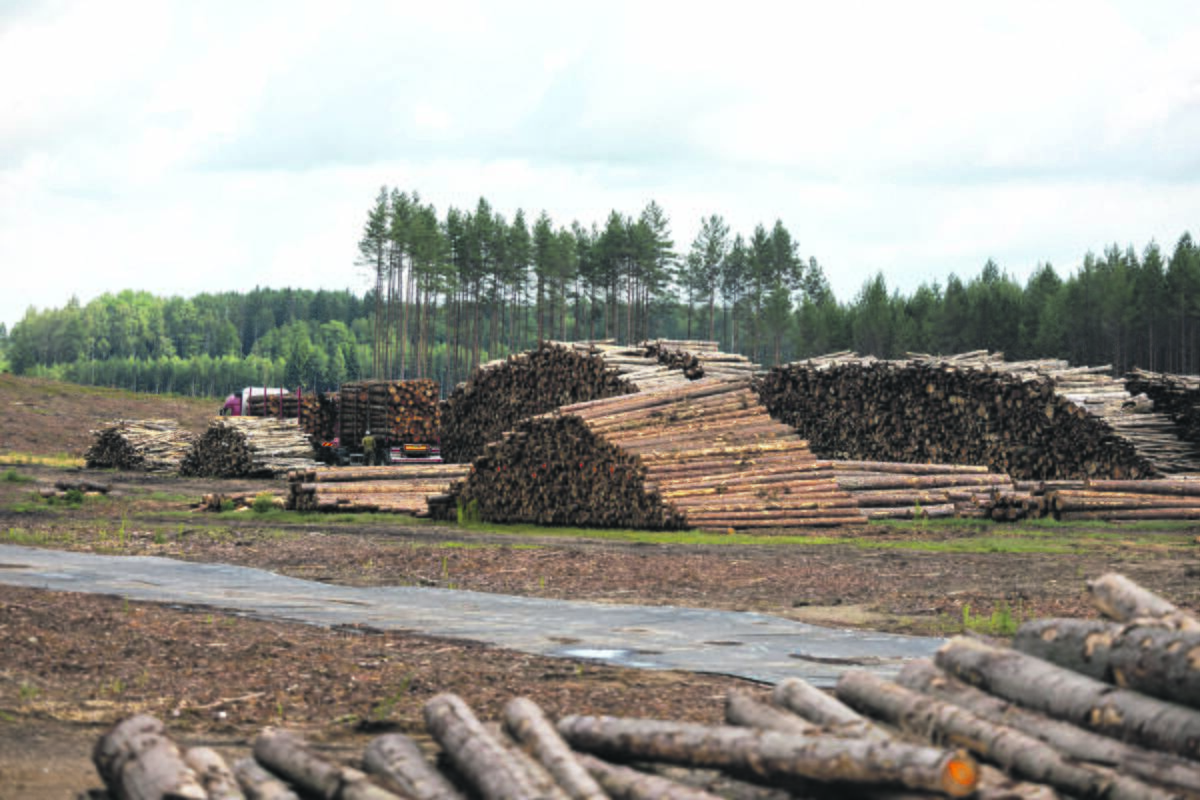 Vizija: Rūdninkų karinis miestelis – didžiausias karinės infrastruktūros sukūrimo projektas Lietuvoje.