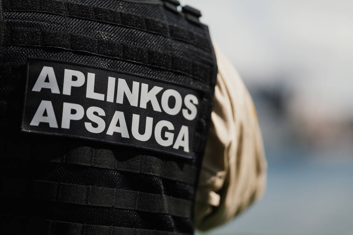 Rusnėje neteisėtai iškirsta daugiau kaip 300 medžių, žala siekia per 44 tūkst. eurų