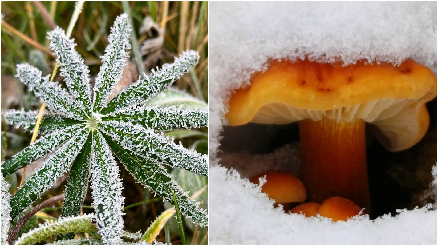 Atskleidė, kokie orai laukia gruodį