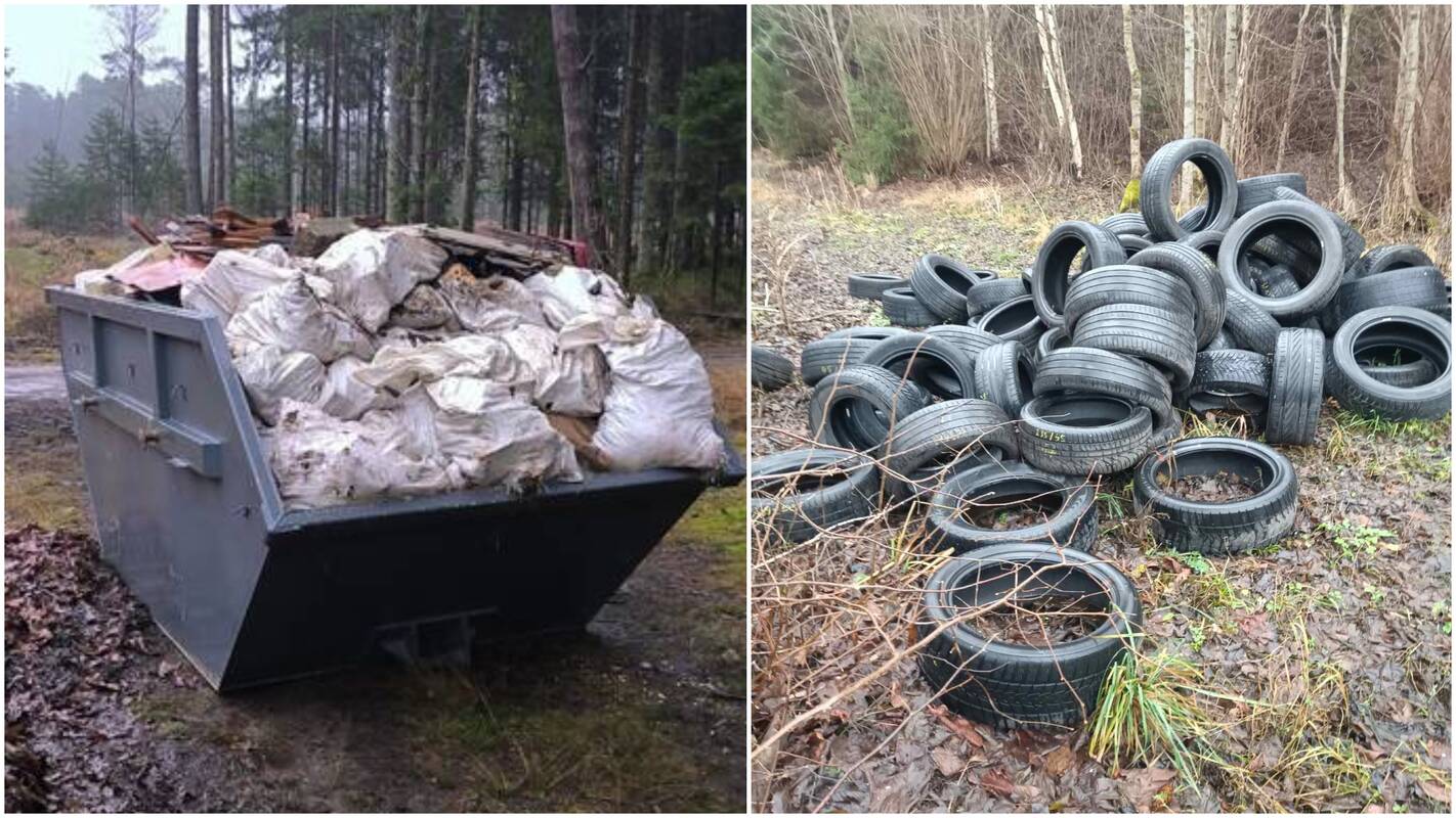 Šventiniu laikotarpiu – nemaloni staigmena miške