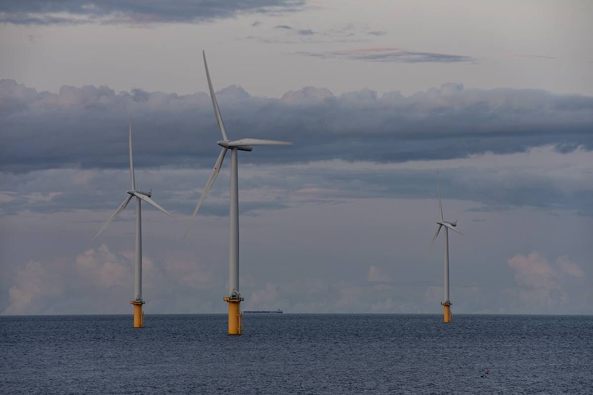 Ministras: ne visi pirmo jūros vėjo parko projekto aspektai buvo adekvatūs