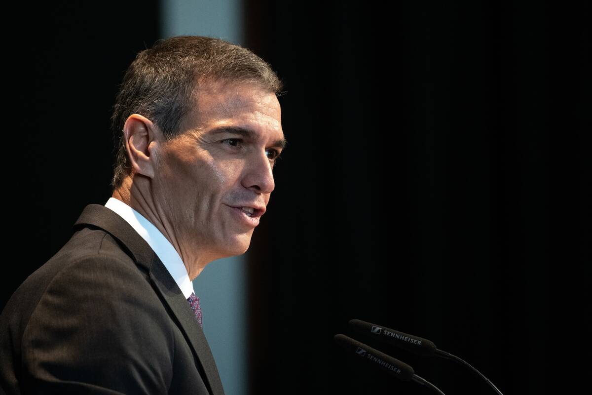 Ispanija peikia ES siūlymą švelninti numatytą vidaus degimo variklių draudimą