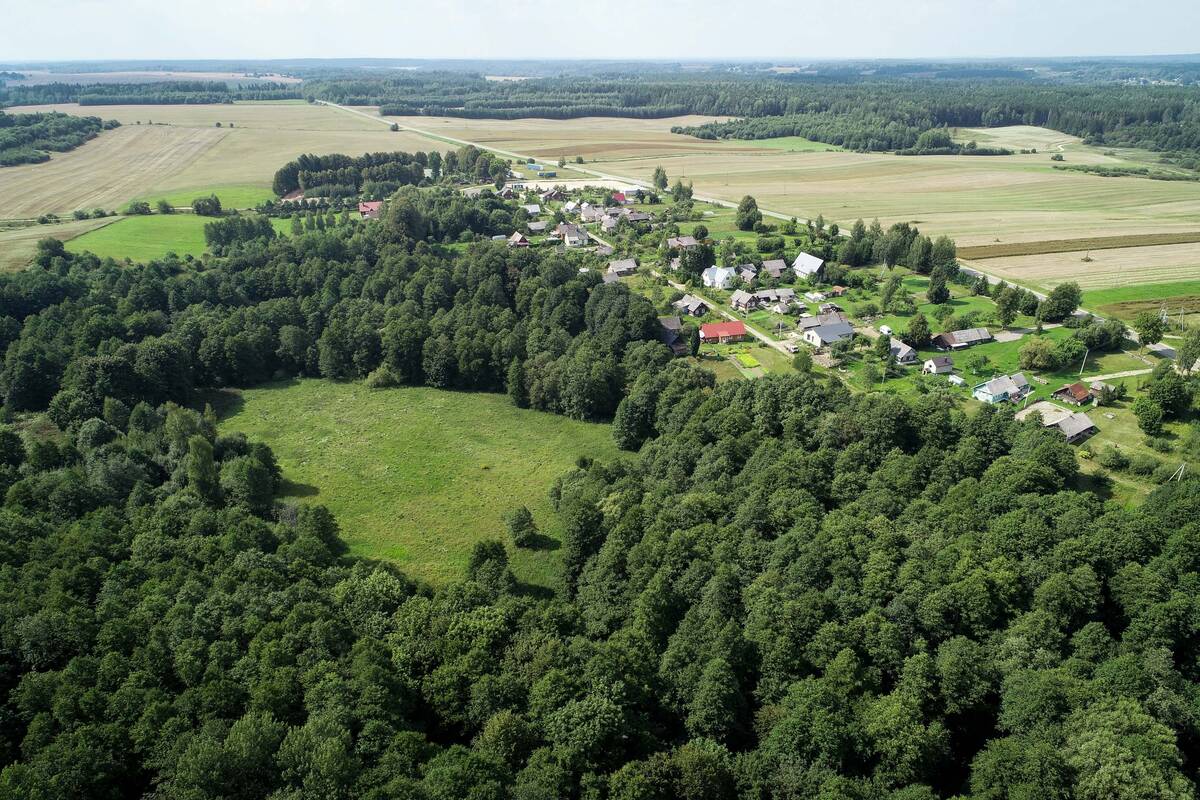 Įvardijo, kiek kitąmet augs žemės sklypų vertės