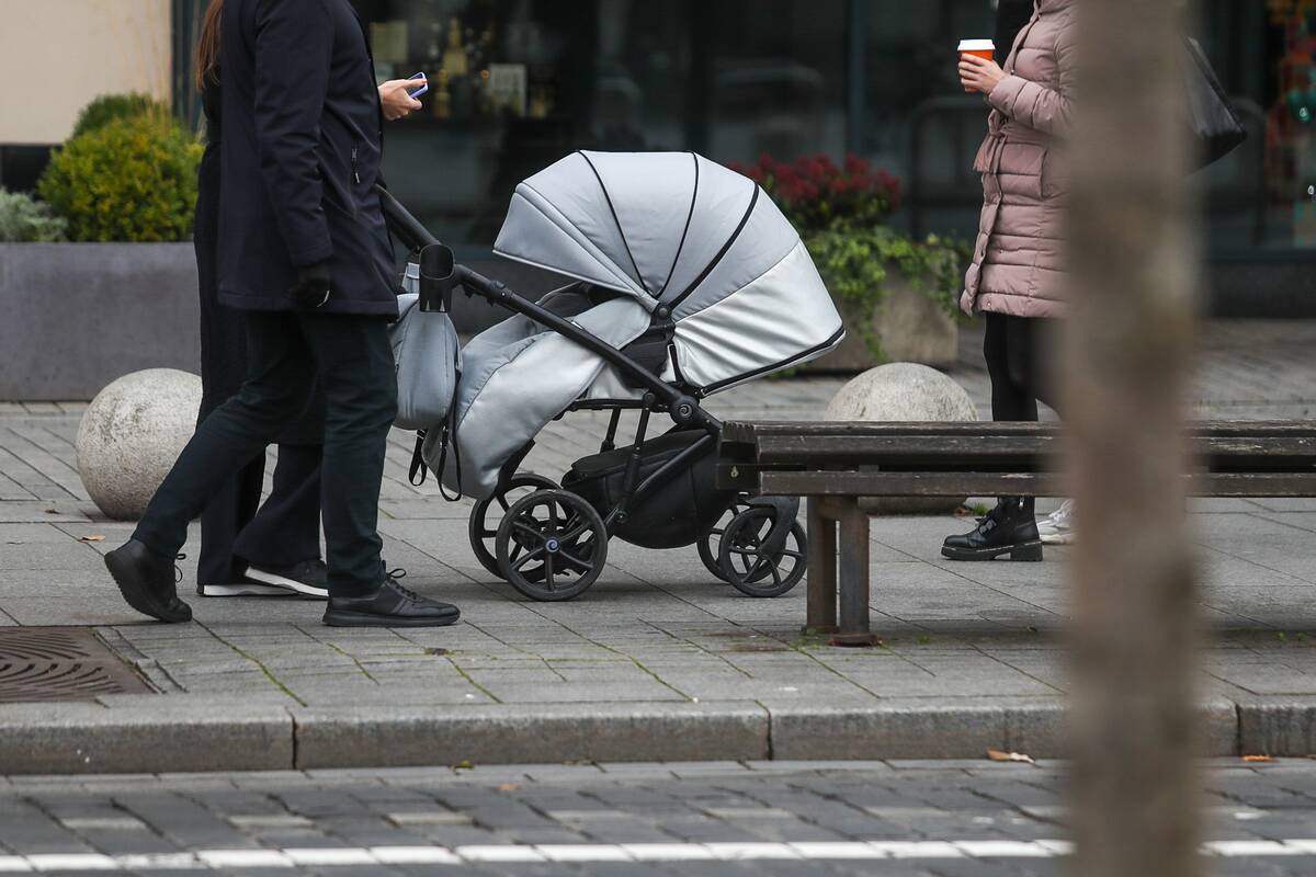 Seimas linkęs pritarti, kad už auklių prižiūrimus vaikus kompensacijas gautų ir studijuojantys tėvai