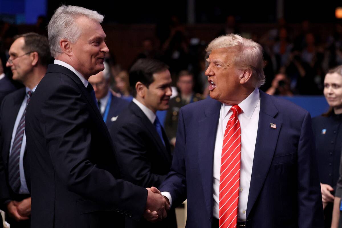 Gitanas Nausėda ir Donaldas Trumpas