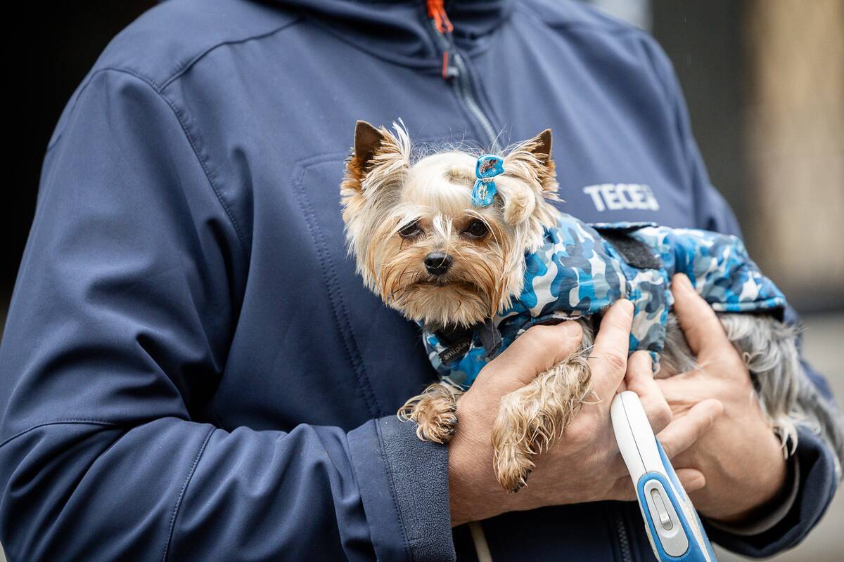 Dienos horoskopas 12 Zodiako ženklų (gruodžio 11 d.)