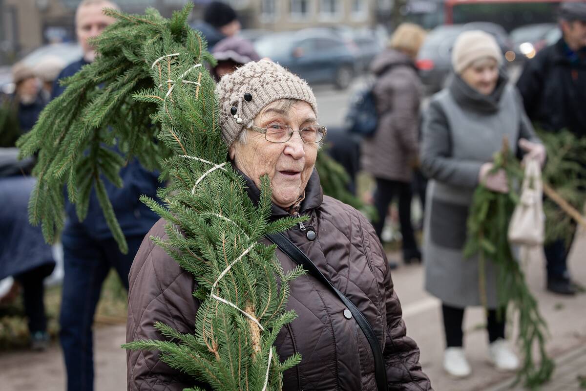 Kauniečiai parsinešė Kalėdas į savo namus: eglių šakų akcija palydėjo ir taikos ugnis