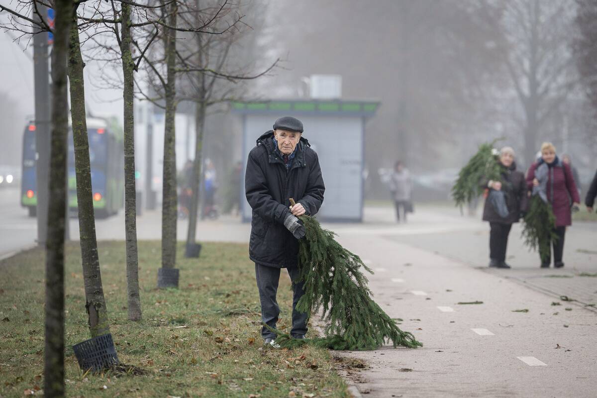 Eglių šakų dalijimo akcija Kaune