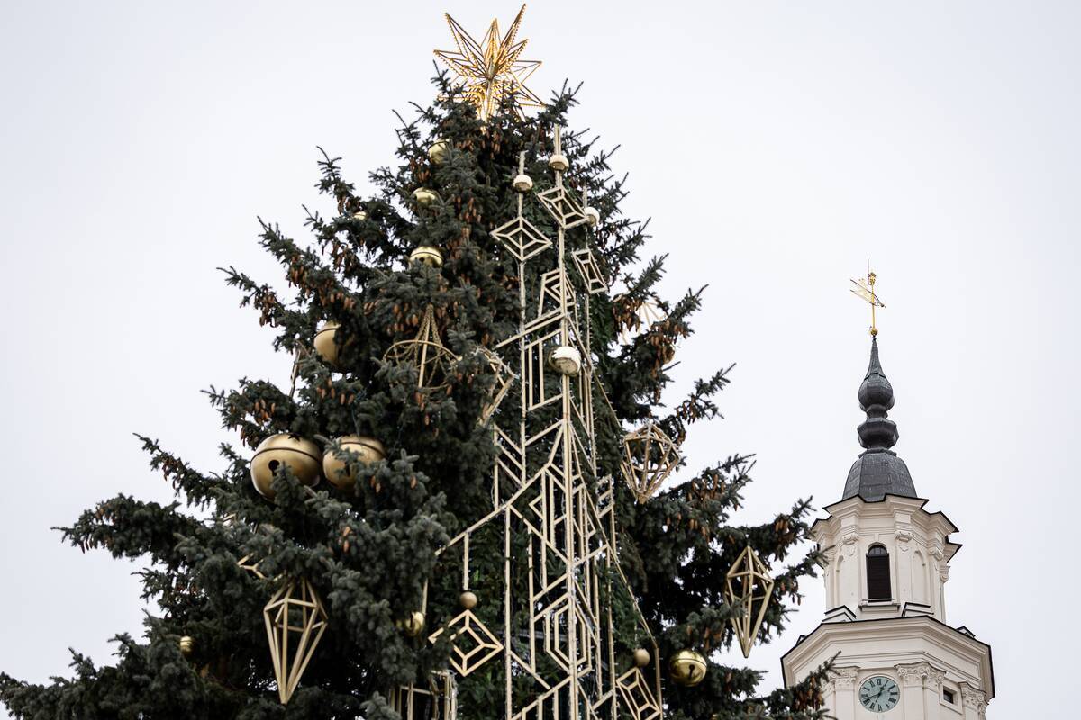 Dienos horoskopas 12 Zodiako ženklų (gruodžio 30 d.)