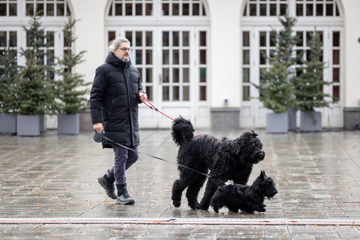 Kauniečių diena (2025-12-29)