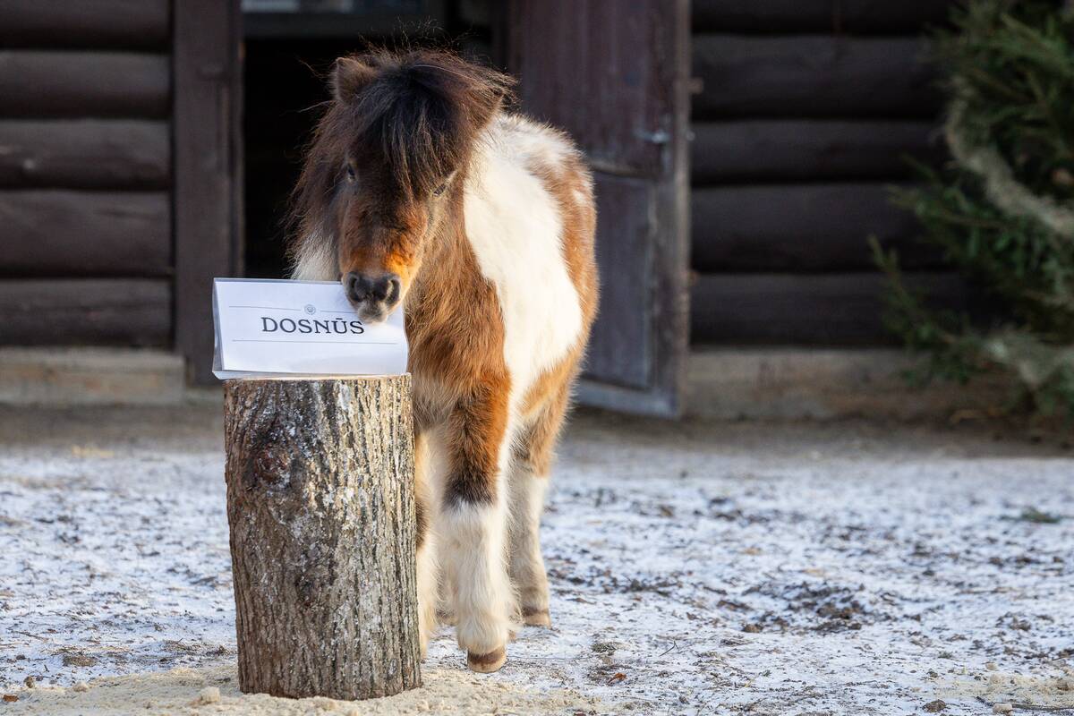 Lietuvos zoologijos sode –2026 metų pranašystė