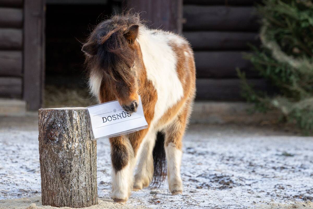 Lietuvos zoologijos sode –2026 metų pranašystė