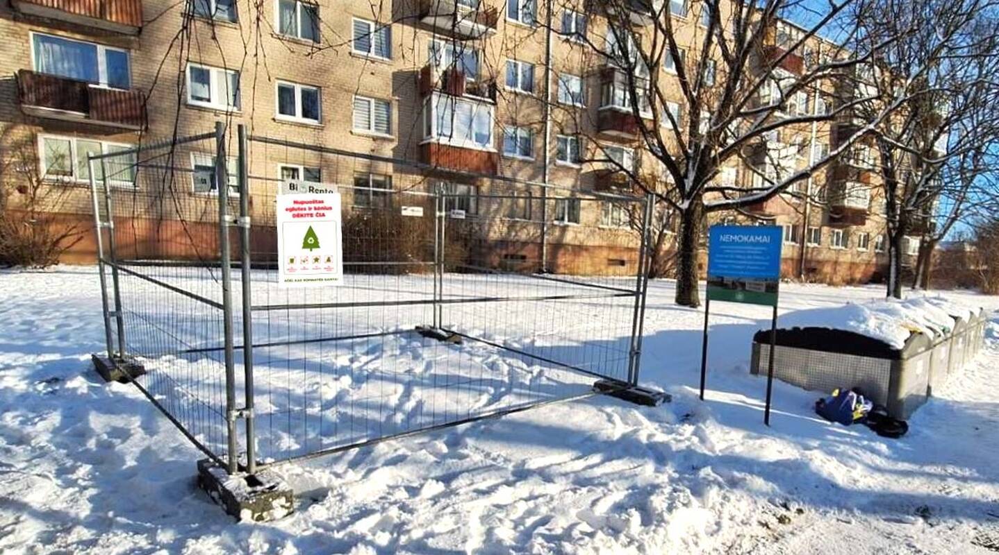 Nupuoštų eglučių surinkimas Klaipėdoje – 44 vietos