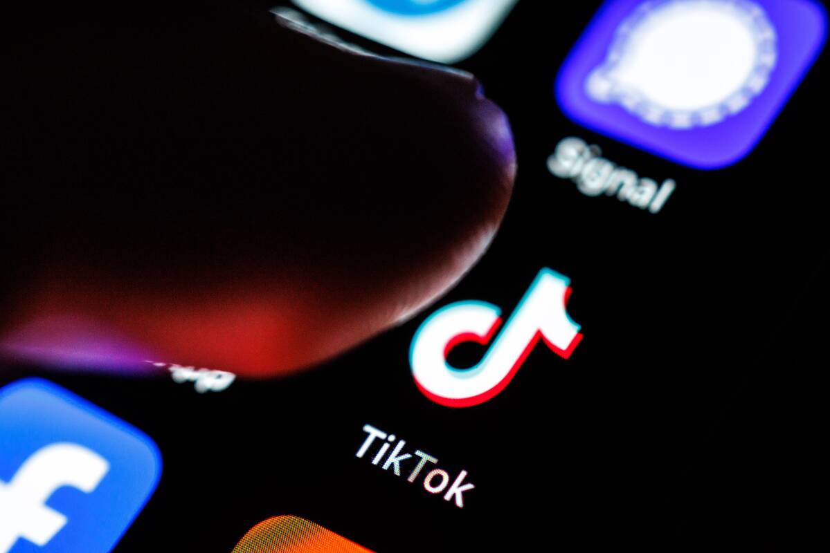 „TikTok“ skelbia apie milžiniškas investicijas Brazilijoje