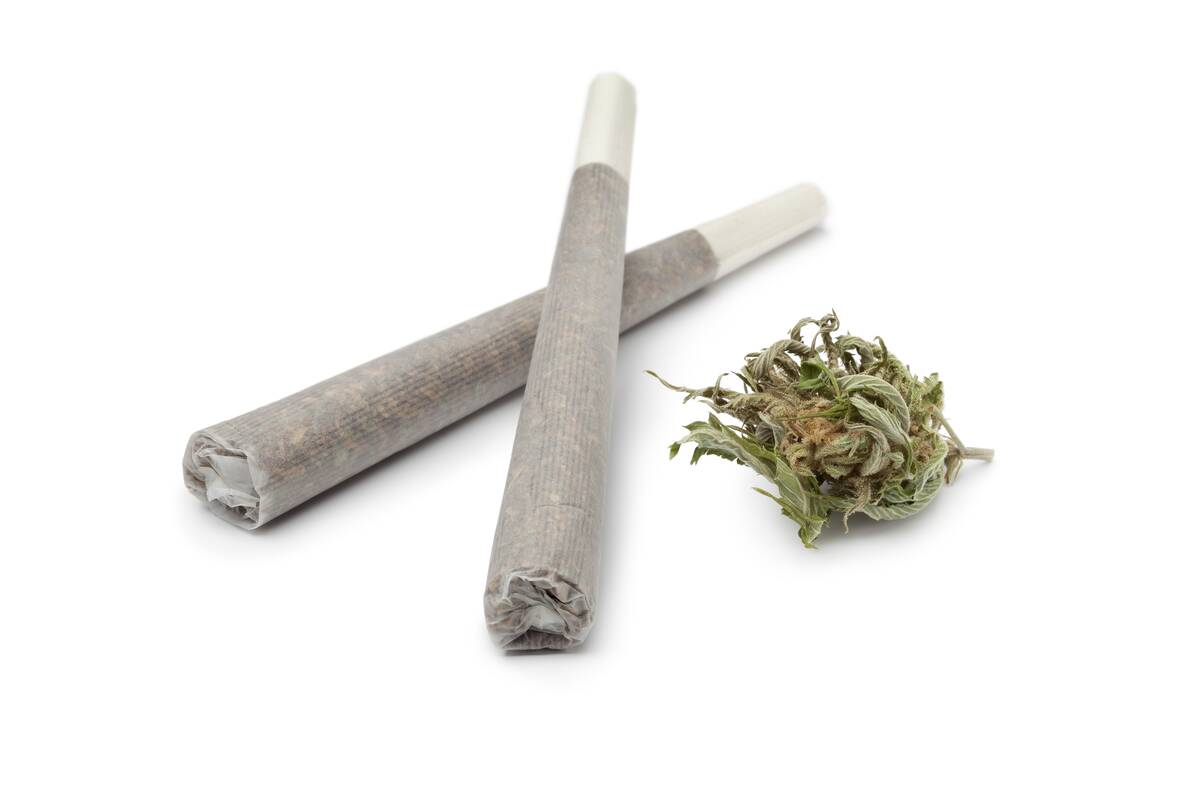 Klaipėdos apskrityje – pas keturis vyrus rasta augalinės kilmės narkotinių medžiagų