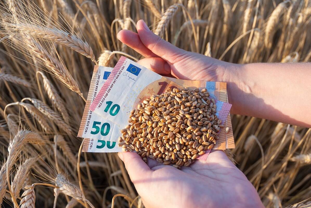 Ropė: tokiu atveju Lietuva turėtų labiau prisidėti