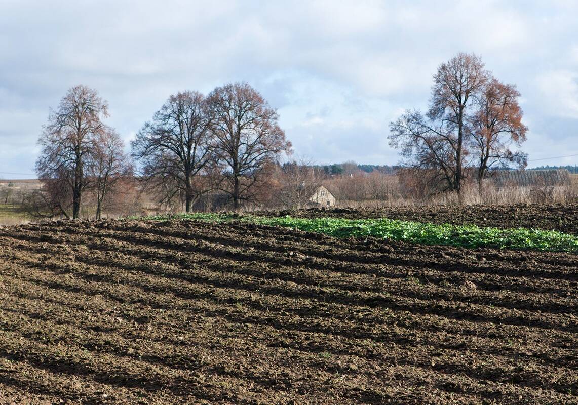 Seimas sutiko savivaldai perduoti valstybinę žemę kaimiškose vietovėse
