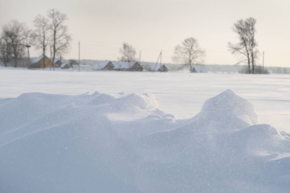 Girtutėlį pusnyje miegantį estą išgelbėjo pasieniečiai
