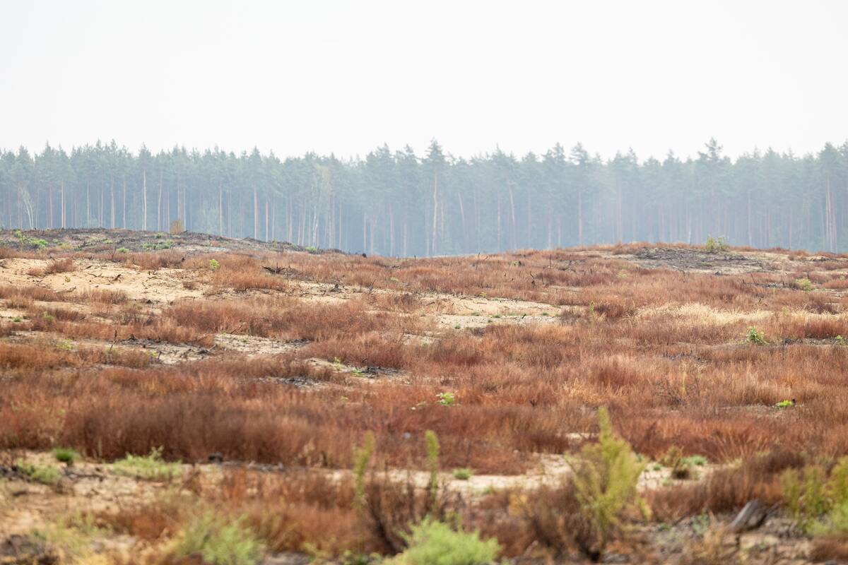 Čmilytė-Nielsen: socdemai slėpėsi už kariuomenės nugaros