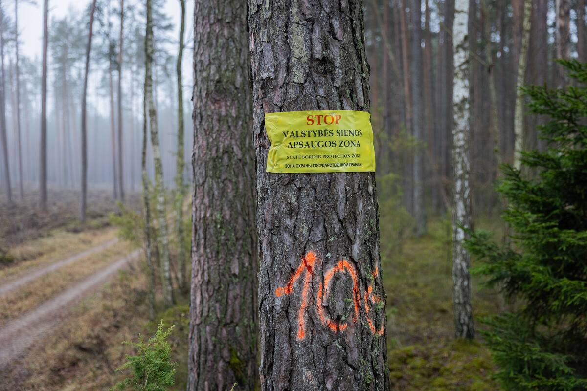 Patarėjas: vertinama, ar Kapčiamiesčio poligono miško sklypai gali būti pakeisti lygiaverčiais