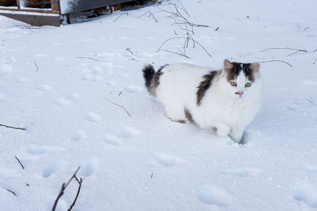 Dienos horoskopas 12 Zodiako ženklų (sausio 3 d.)