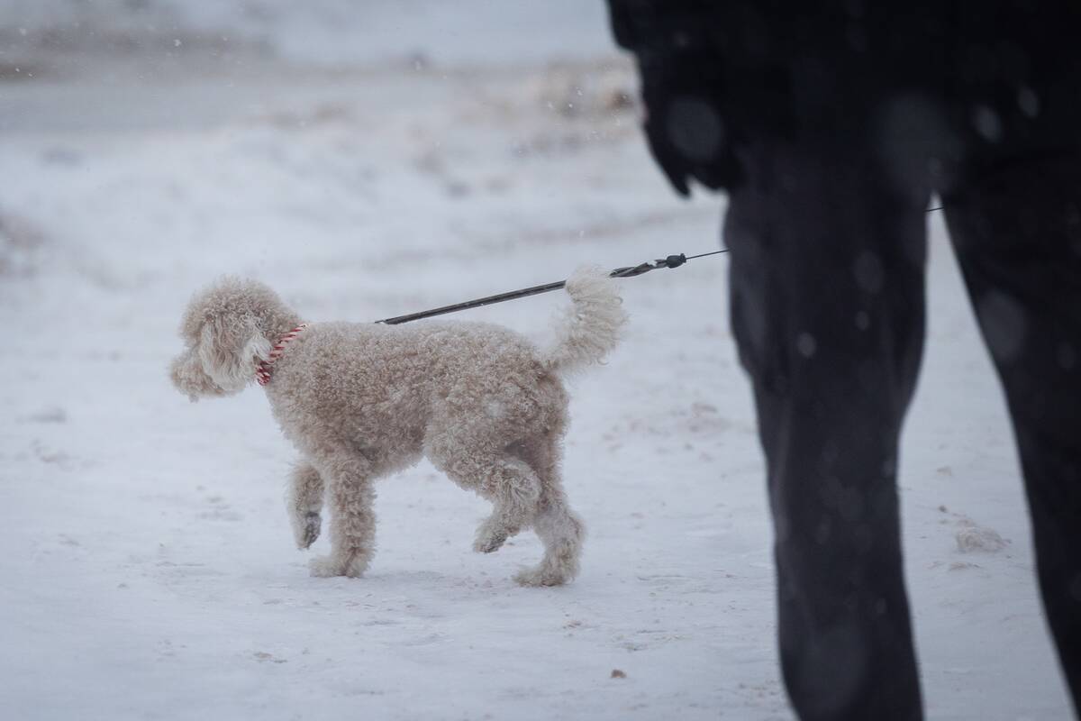 Sostinėje – gausus snygis