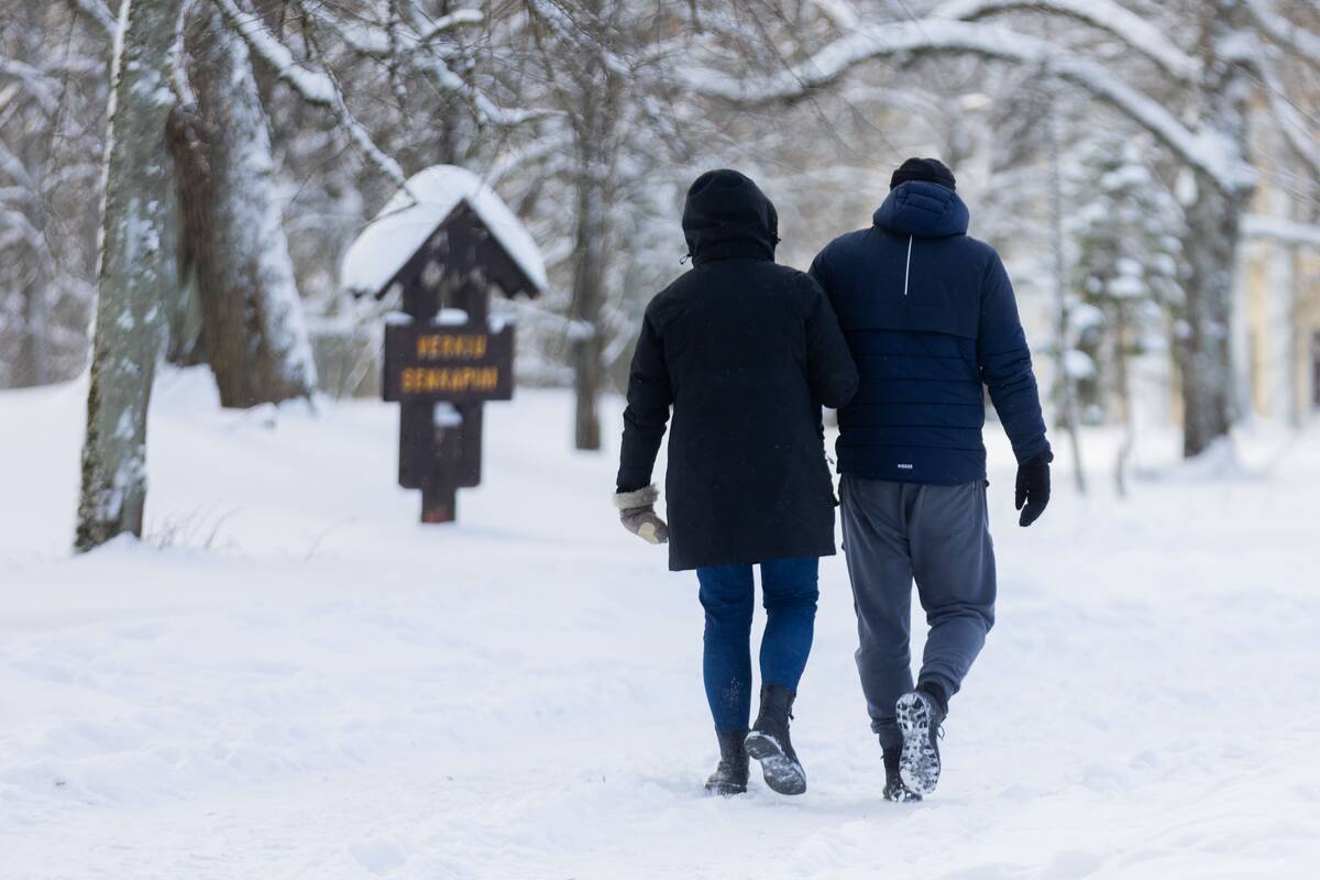 Saulėtas žiemos sekmadienis Vilniuje