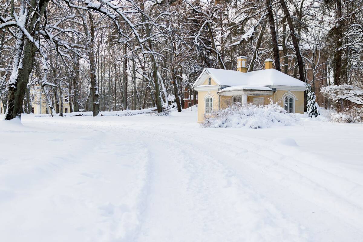 Saulėtas žiemos sekmadienis Vilniuje