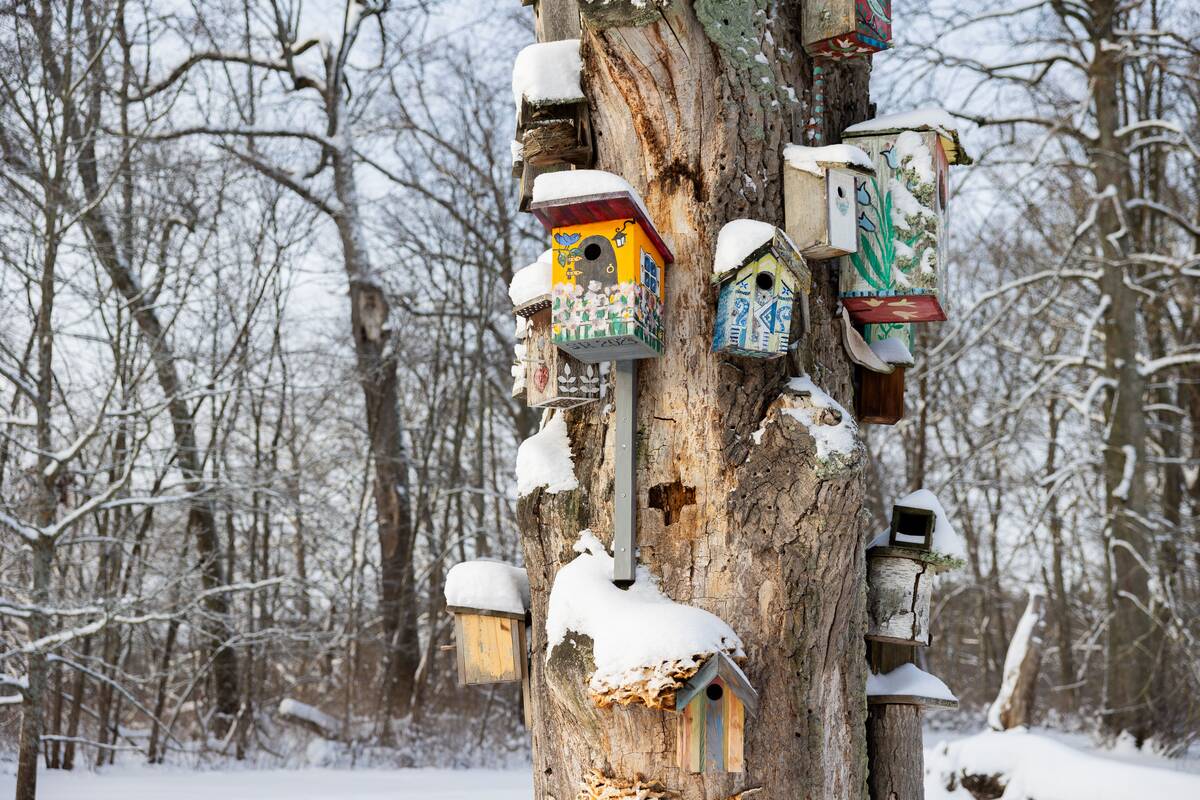 Dienos horoskopas 12 Zodiako ženklų (sausio 20 d.)