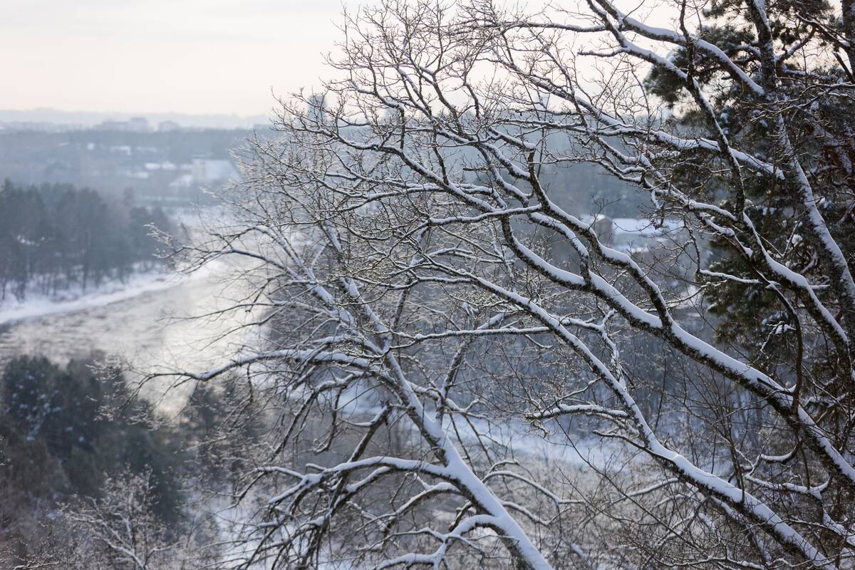 Saulėtas žiemos sekmadienis Vilniuje