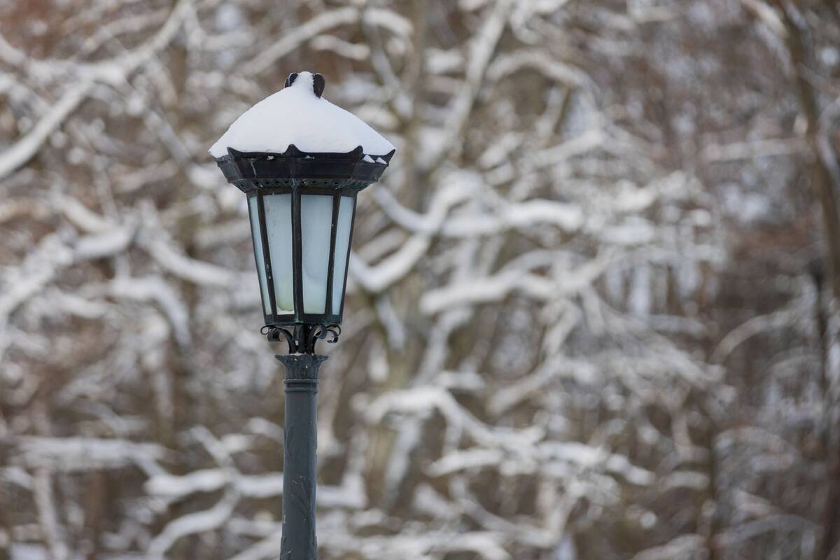 Saulėtas žiemos sekmadienis Vilniuje