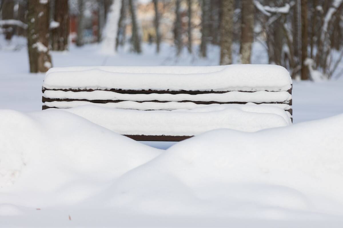 Saulėtas žiemos sekmadienis Vilniuje