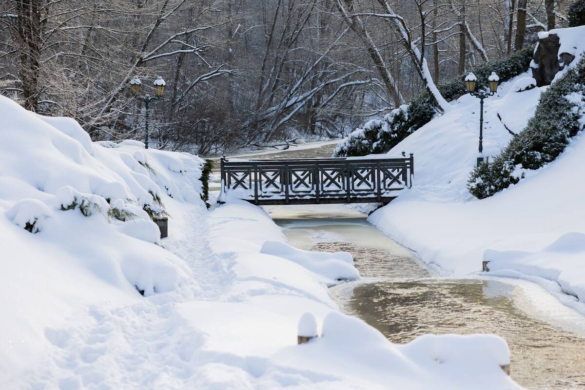 Saulėtas žiemos sekmadienis Vilniuje
