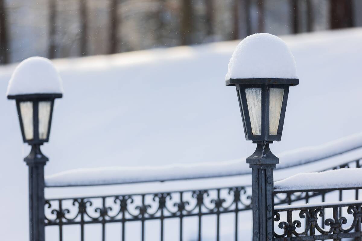 Saulėtas žiemos sekmadienis Vilniuje