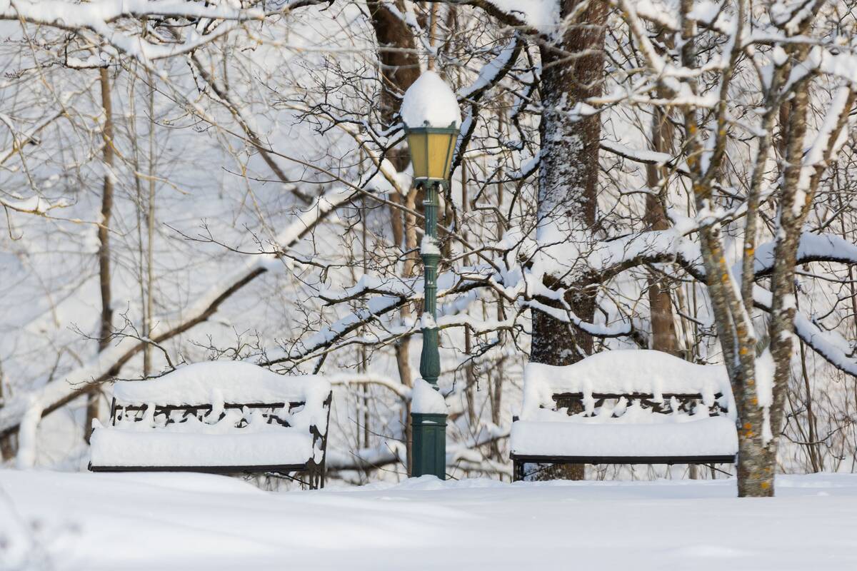 Saulėtas žiemos sekmadienis Vilniuje
