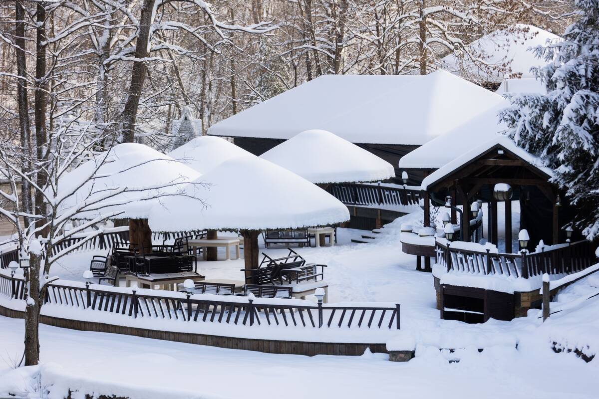 Saulėtas žiemos sekmadienis Vilniuje
