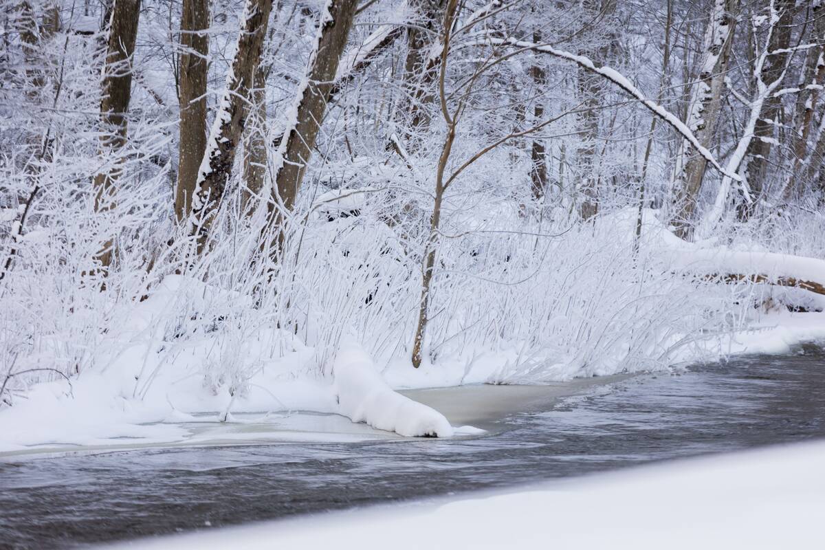 Saulėtas žiemos sekmadienis Vilniuje