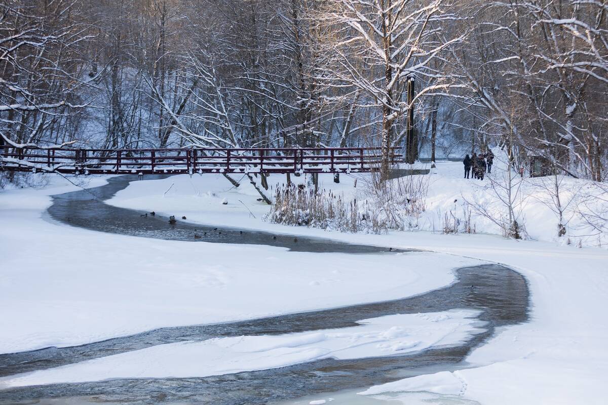 Saulėtas žiemos sekmadienis Vilniuje